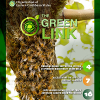 OECS GREENLINK Volume 5  Issue 2